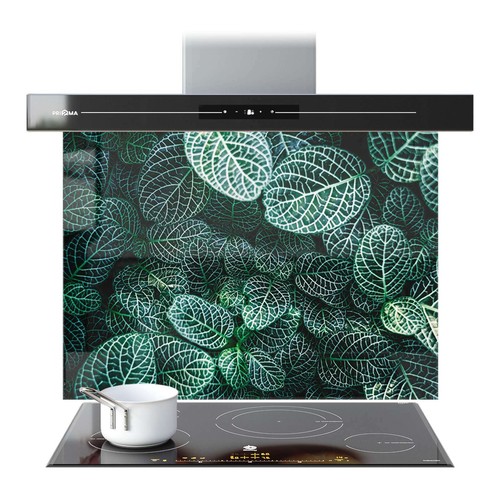 Kitchen glass splashback - glass,