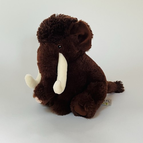Nature planet pets - nature,