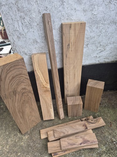 5kg mixed species english - 5kg,