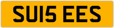 Susies suzie susie sue susan - susies,