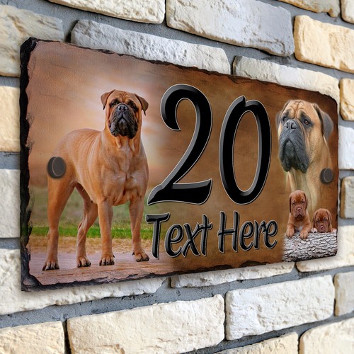 Bullmastiff house number slate - bullmastiff,