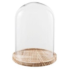 Glass Display Cloche Bell Jar
