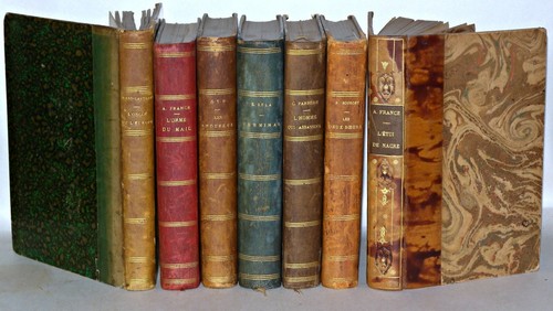 Antique french books job lot - french,