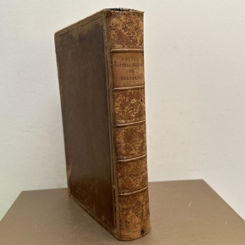 Natural history and - history,