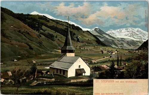 Stephen the simmental - stephen, in