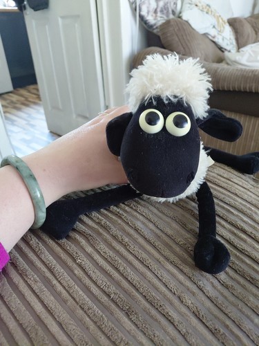 Shivering shaun the sheep soft - shivering,