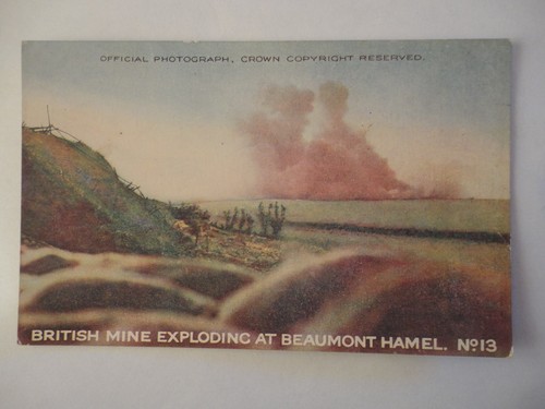Ww1 colour postcard - colour, hawthorn