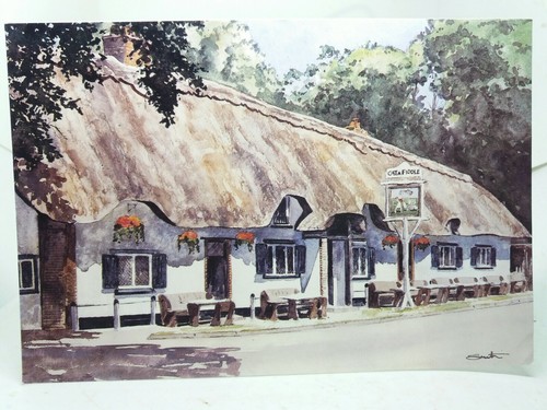 The cat fiddle inn new - fiddle,