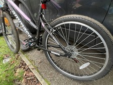 Women's Ammaco Mountain Bike