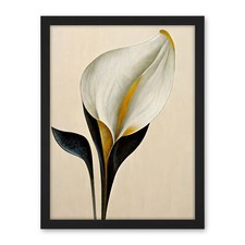 Elegant Modern Calla Lily
