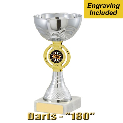 180 darts trophy silver - darts, &