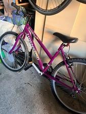 Brooklyn Townsend Mountain