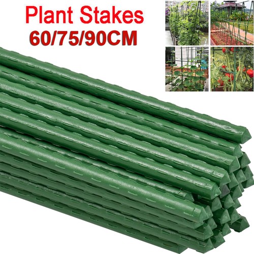 100x plastic coated green - 20-100x,