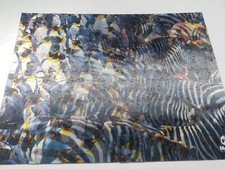 Mensa 300 Piece Zebra/Penguins Flipsaw Jigsaw Puzzle