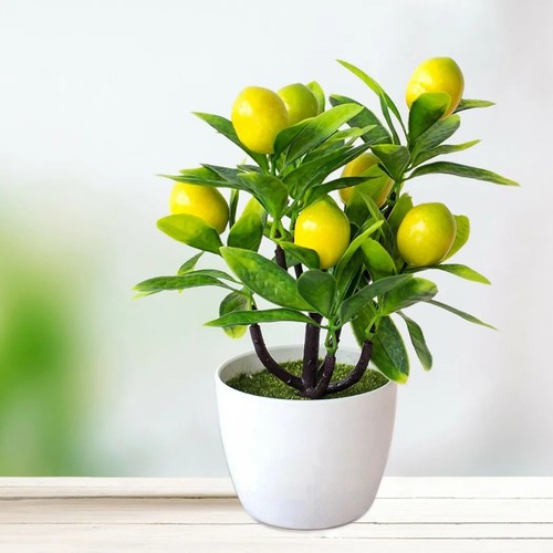 Artificial lemon tree - lemon, plant