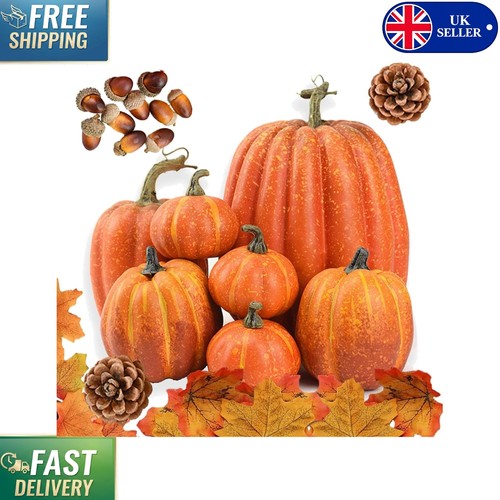 Vibrant autumn pumpkin - autumn,
