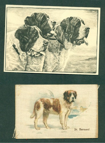 Bernard dog silk - dog,