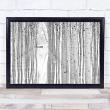 Free movement River Italy