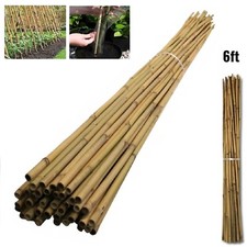 6ft Garden Bamboo Canes Heavy Duty Plant Support Stakes Pole Strong Large Sticks