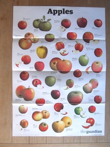 The guardian wallchart - guardian, wall