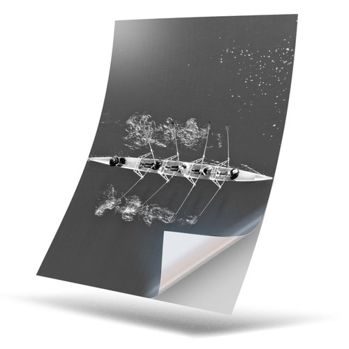 Vinyl sticker bw - sticker,