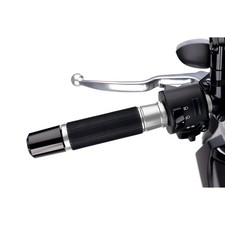 PUIG KNOBS MODEL ASCENT SILVER