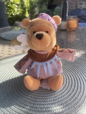 Disney Store Indian Winnie The