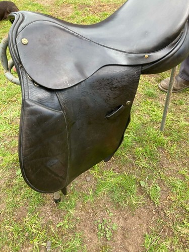 Black frank baines native - 17",