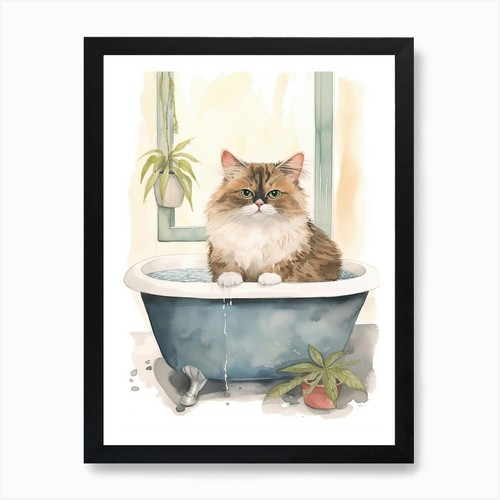 Himalayan cat bathtub - cat,