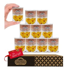 SALYSOL Snacks Spicy Coated
