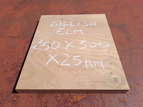 English elm wood blank - elm, for