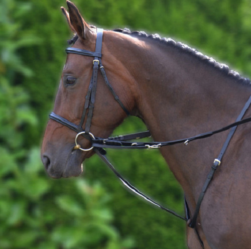 Equestrian market - hy,
