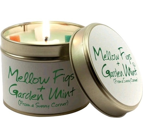 Lily flame festive mellow - mellow, figs