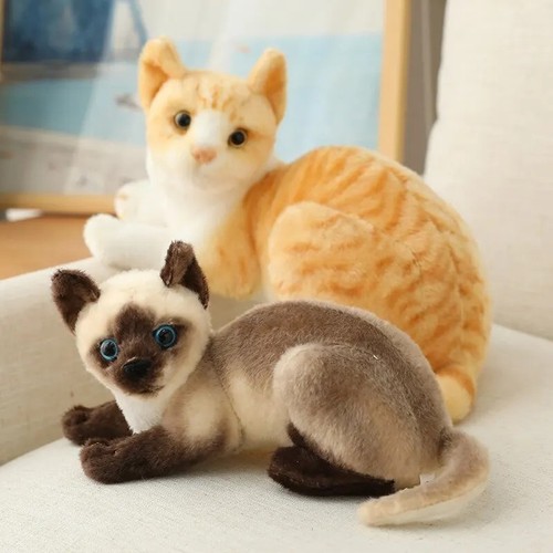 Lifelike cute realistic cat - cute,