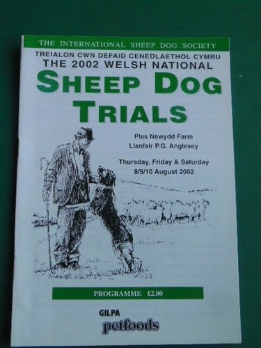 Welsh national sheep - welsh, dog