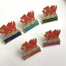 RAOB CHARITY BADGES NORTH