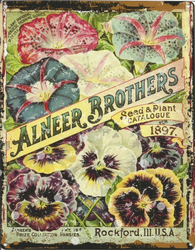 Large 12x16in alneer bros - large,