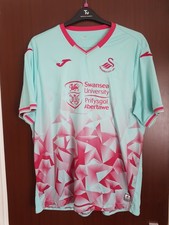 Swansea City Football Light