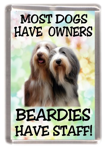Bearded collie fridge - bearded,