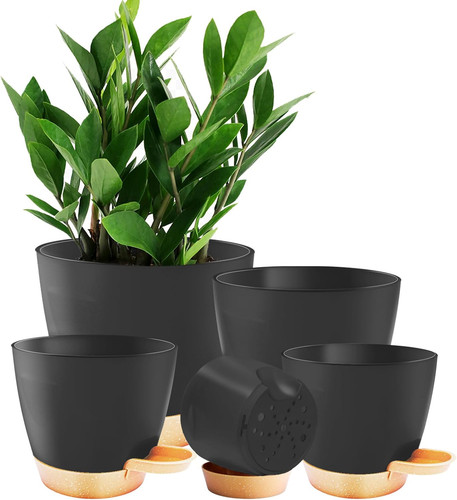 Self watering plant - watering, pots