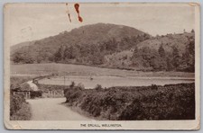 WELLINGTON Shropshire The Ercall RP Postcard, Postmarked 1918