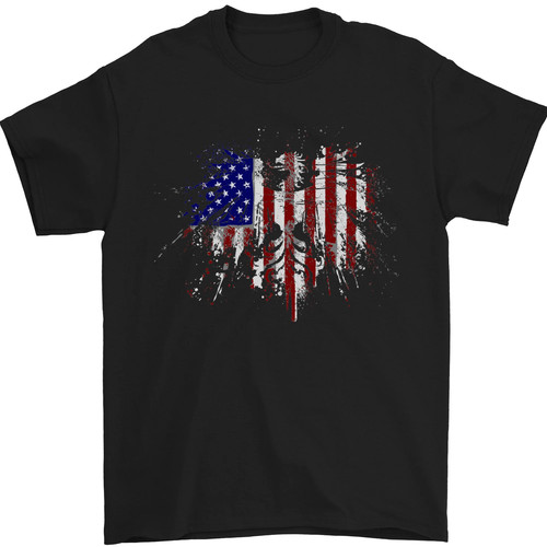 American eagle flag 4th - american,