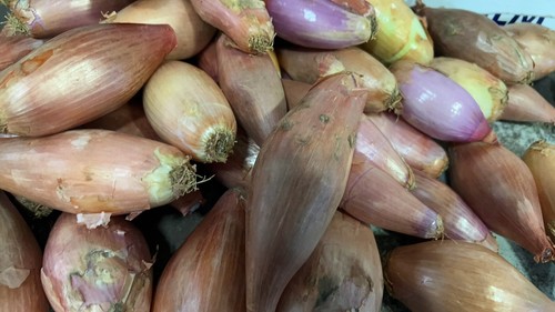 Deluxe echalion shallots - deluxe,