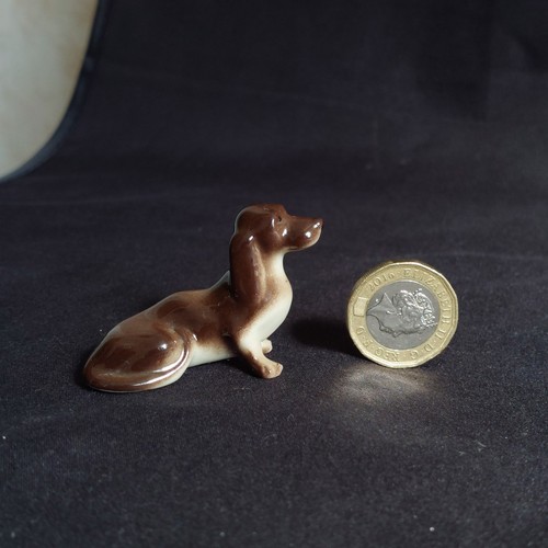 Lomonosov lfz dachshund - lfz,