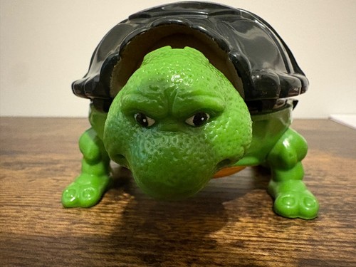 Teenage mutant ninja - teenage,