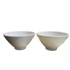 Stoneware Rice Noodle Bowl x2