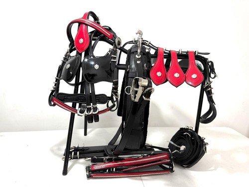 Driving harness shetland - shetland, quick