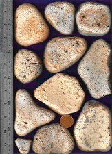 11 Rustic UK NORTH SEA BEACH POTTERY pebbles 1.56 Kg Ocean art Dunbar Scotland