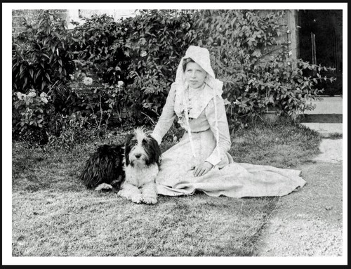 Bearded collie and young - collie,