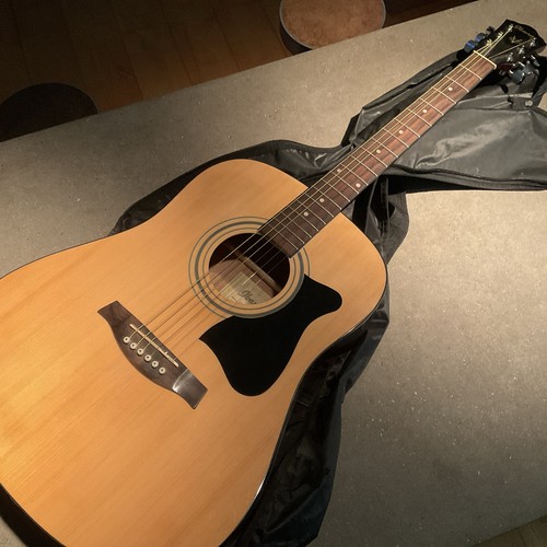 Ibanez v50lnjp acoustic guitar - v50lnjp,